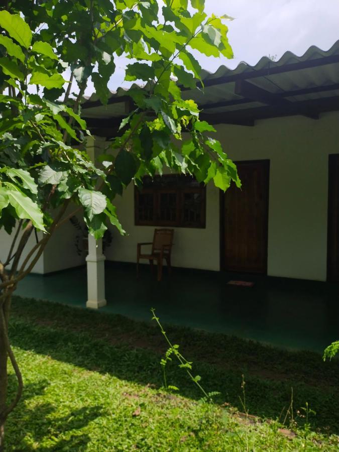 Sigiri Green Shadow Homestay Sigiriya Exterior photo